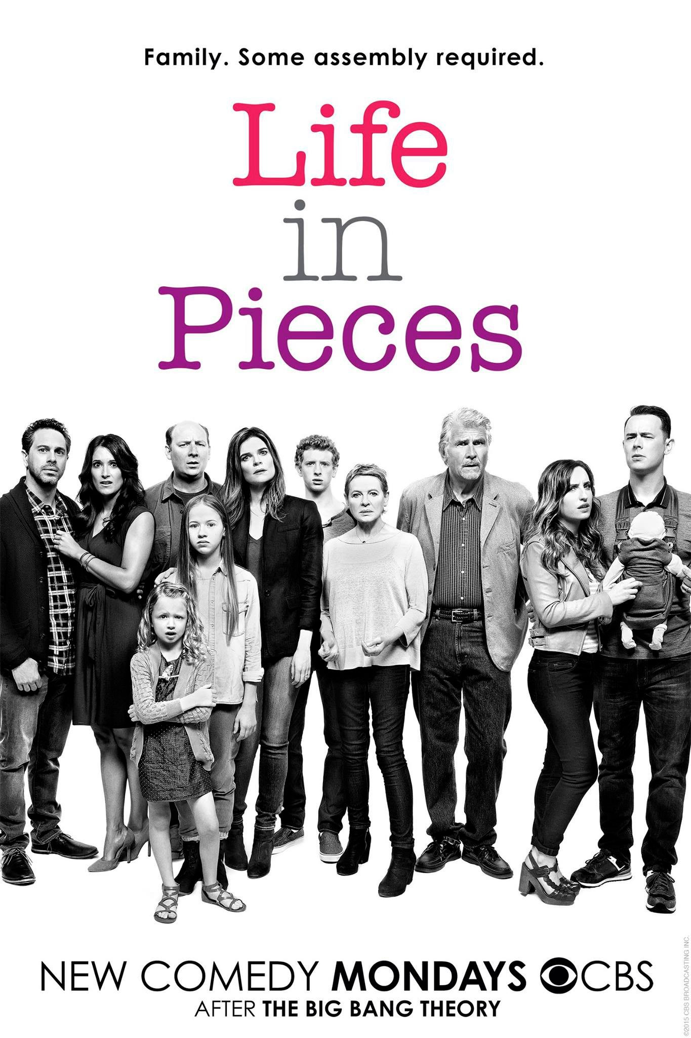 Жизнь в деталях. Жизнь в деталях сериал. Жизнь в деталях/Life in pieces. Жизнь в деталях сериал 2015–2019. Сериал Life Постер.