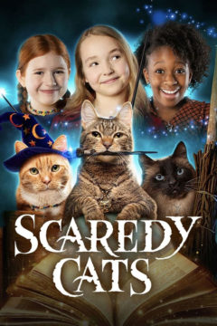 Пугливые кошки / Scaredy Cats
